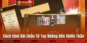 Chơi bài chắn