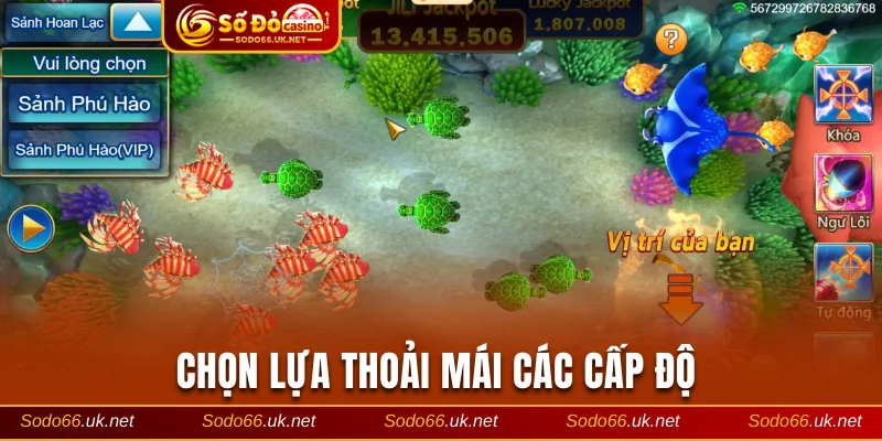 Chọn lựa thoải mái các cấp độ 