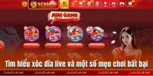 Xóc đĩa live