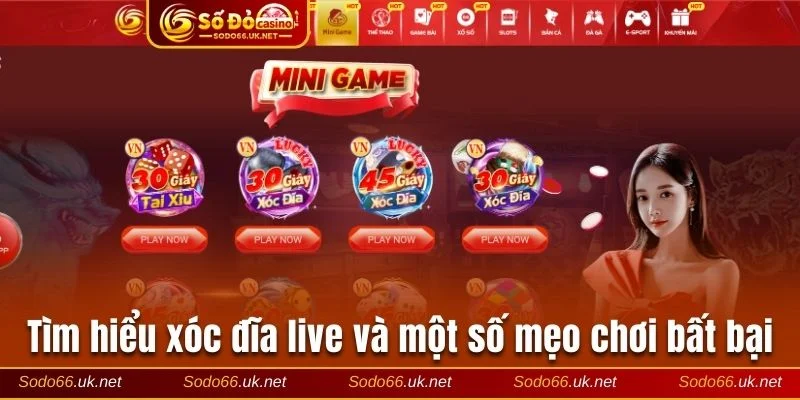 Xóc đĩa live